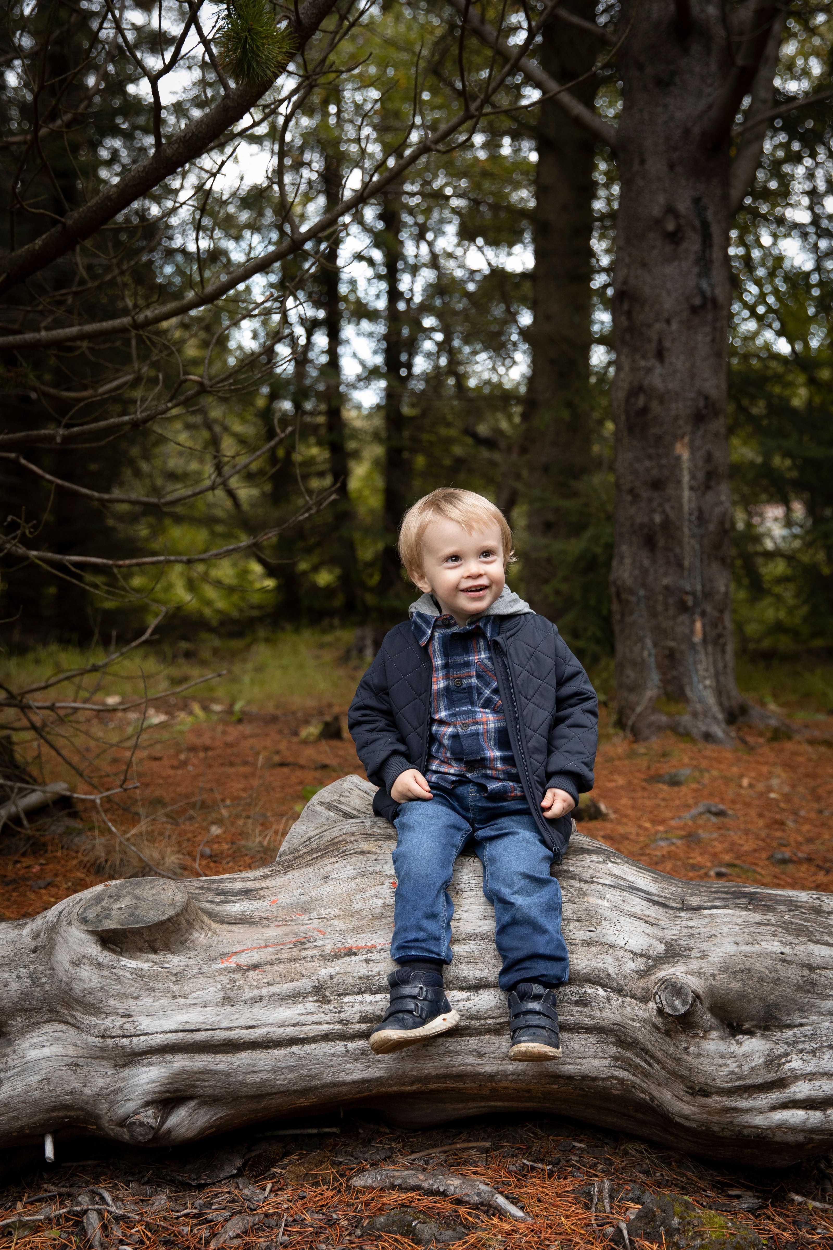 Sunna ljósmyndari - Image 4