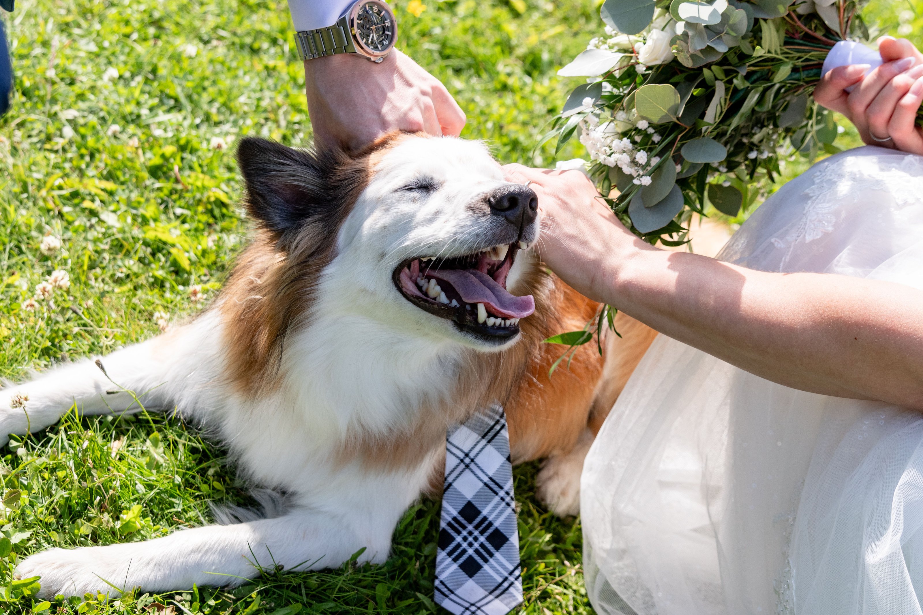 Einar Ingvars Photography  - Image 2