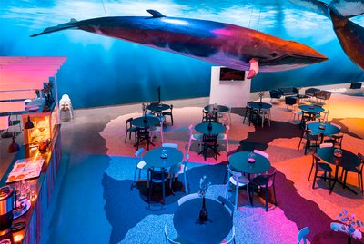 Veislusalur Hvalasafnsins - Image 3